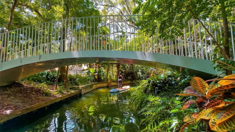 Orlando: Winter Park Paddle Adventure - Exploring the Winter Park Chain of Lakes by Paddleboard