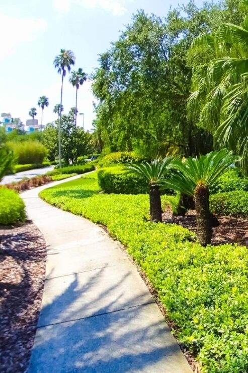 Orlando's Heartbeat: Discovering the Central Charms - Good To Know