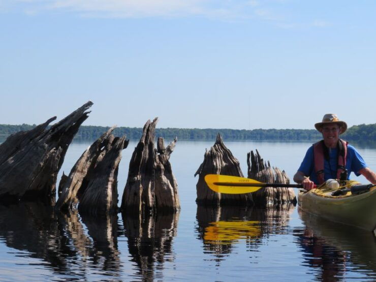Orlando's Lake Norris: 5-Hour Kayak Explorer Tour With Lunch - Activity Details