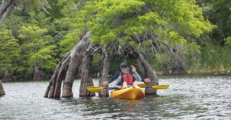 Orlando's Lake Norris: 5-Hour Kayak Explorer Tour With Lunch - Experience Highlights