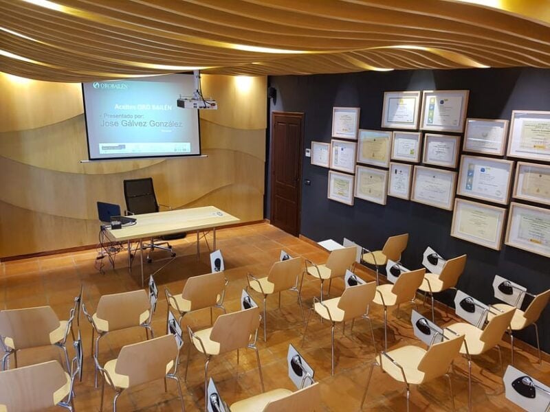 Oro Bailén: Explore the Oil Mill + Tasting - Equipped Facilities for All Visitors