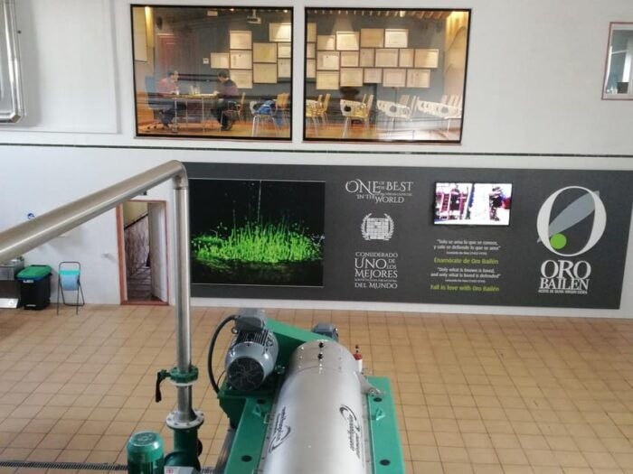 Oro Bailén: Explore the Oil Mill + Tasting - Reserve Now and Pay Later