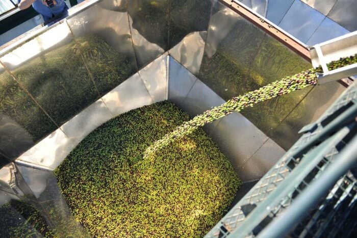 Oro Bailén: Explore the Oil Mill + Tasting - Frequently Asked Questions