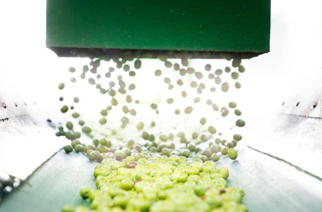 Oro Bailén: Explore the Olive Oil Mill + Tasting - Accessibility and Amenities