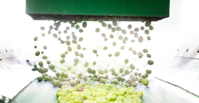 Oro Bailén: Explore the Olive Oil Mill + Tasting - Customer Feedback and Restrictions