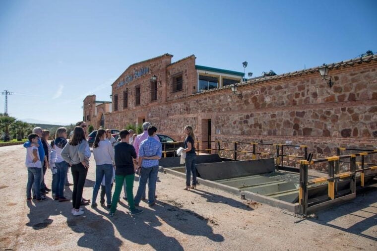 Oro Bailén: Tour of Oro Bailen Grove + Mill + Tasting - Frequently Asked Questions