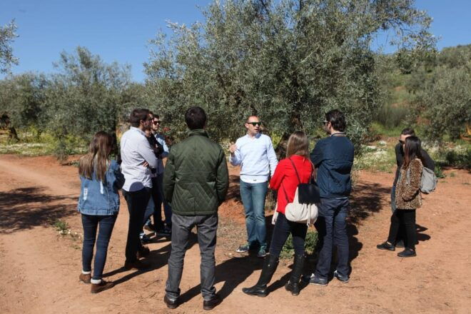 Oro Bailén: Tour of Oro Bailén Grove + Mill + Tasting - What to Bring