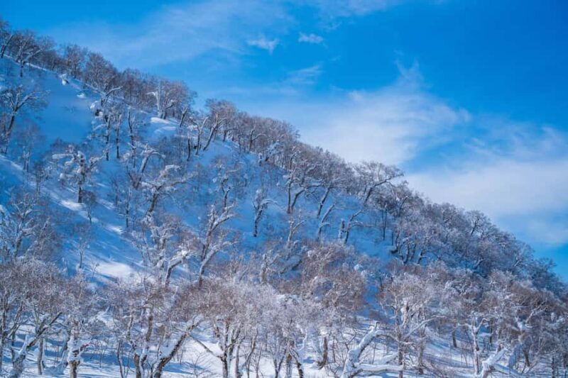 Orofure Pass Beginner Snowshoeing Tour - The Experience in Detail