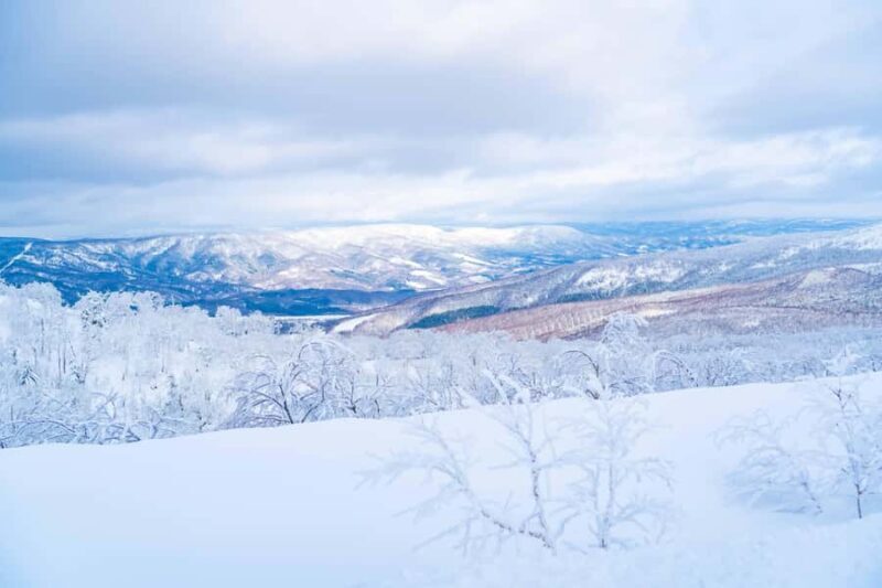 Orofure Pass Half-day Snowshoeing Tour - Good To Know