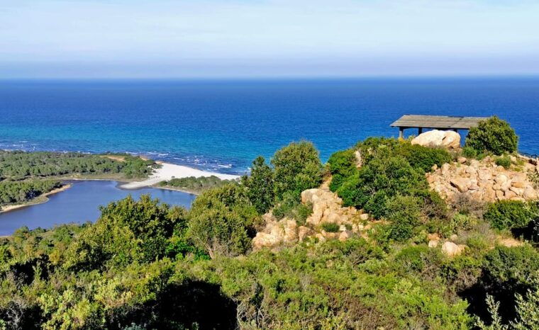 Orosei: 4x4 Tour Between Mountains and Capo Comino Beach - Whats Included in the Tour