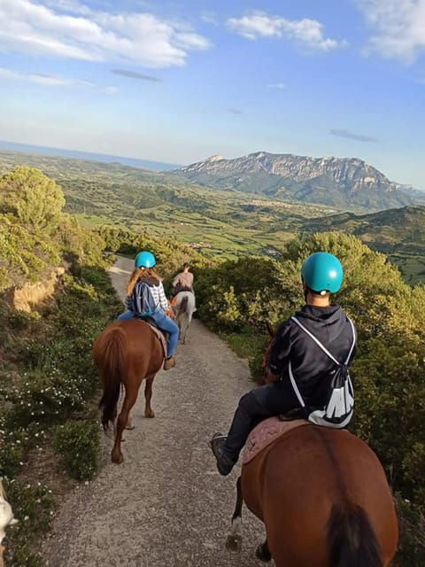 Orosei: Horse Riding on the Beach - Preparation and Requirements