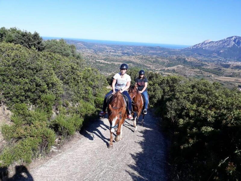 Orosei: Horseback Riding in the Irgoli Area - Duration and Group Size
