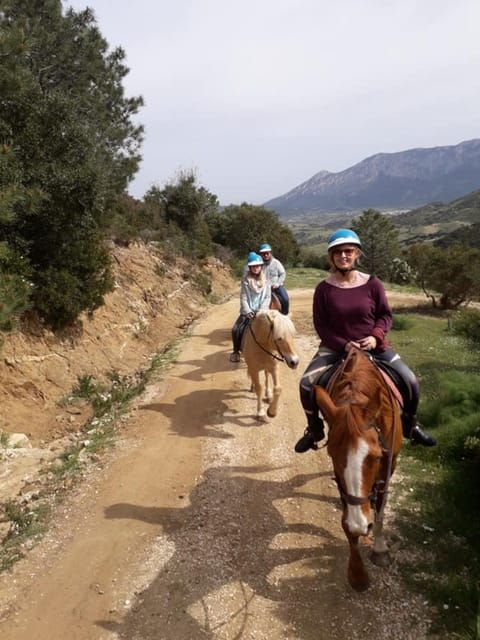 Orosei: Horseback Riding in the Irgoli Area - Safety Considerations for Riders