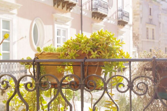 Ortigia: Private Walking Tour and Boat Trip - Culinary Delights