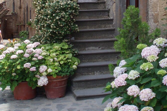 Orvieto and Civita Di Bagnoregio: Private Full Day Trip From Rome - Tips for a Memorable Experience