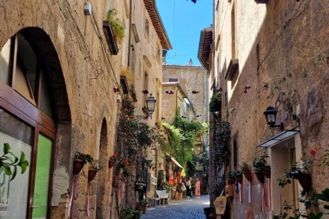 Orvieto & Assisi Private Tour From Rome - Exclusions