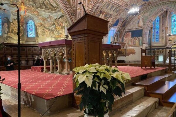 Orvieto & Assisi Private Tour From Rome - The Sum Up