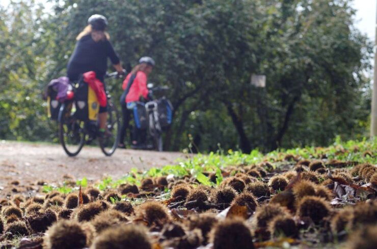 Orvieto & Civita Di Bagnoregio: Private E-Bike Tour - Tour Description