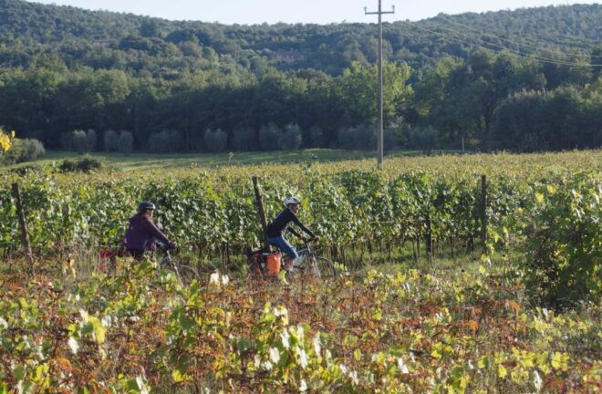 Orvieto & Civita Di Bagnoregio: Private E-Bike Tour - Inclusions