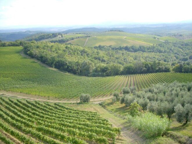 Orvieto & Civita Di Bagnoregio Private Tour From Rome - Customer Reviews