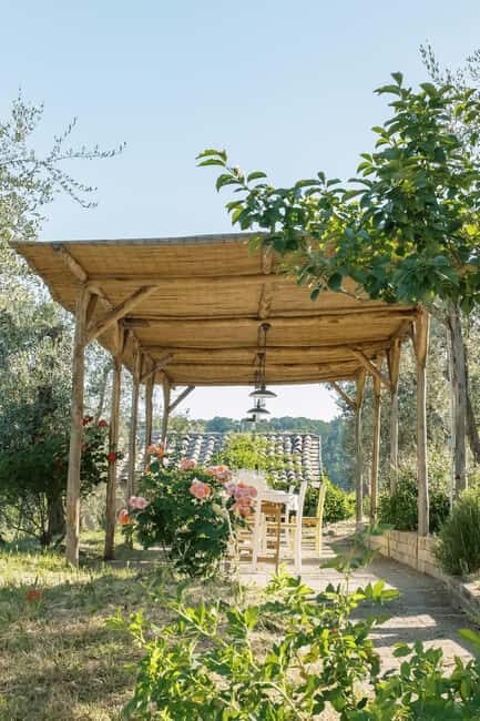 Orvieto: Classic Wine Tasting at Madonna del Latte - An In-Depth Look at the Madonna del Latte Experience