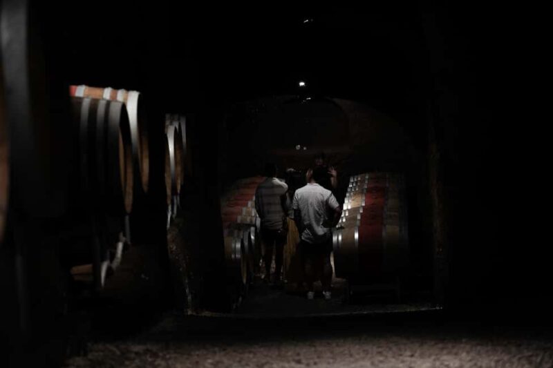 Orvieto: Classic Wine Tasting at Madonna del Latte - A Closer Look at the Reviews