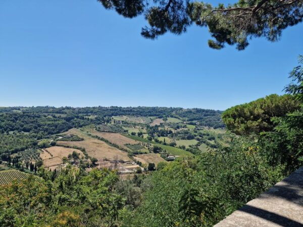 Orvieto the Etruscan City Private Tour From Rome - The Sum Up