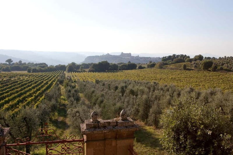 Orvieto: Tour and wine tasting at Tenuta Le Velette - Who Should Consider This Tour?
