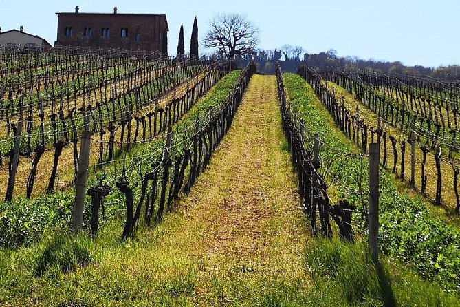 Orvieto Wine Tasting Tour by E-Bike - Common Questions