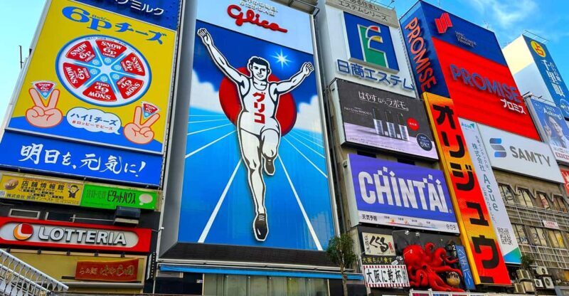 Osaka: 1-Day Guided Tour - Sky Bldg, Castle, Namba Shinsekai - Good To Know