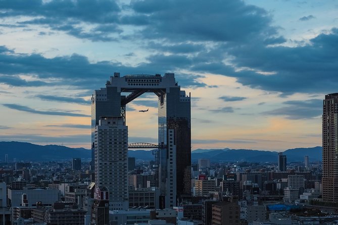 Osaka 1 Day Highlights Private Walking Tour - Tour Details and Features