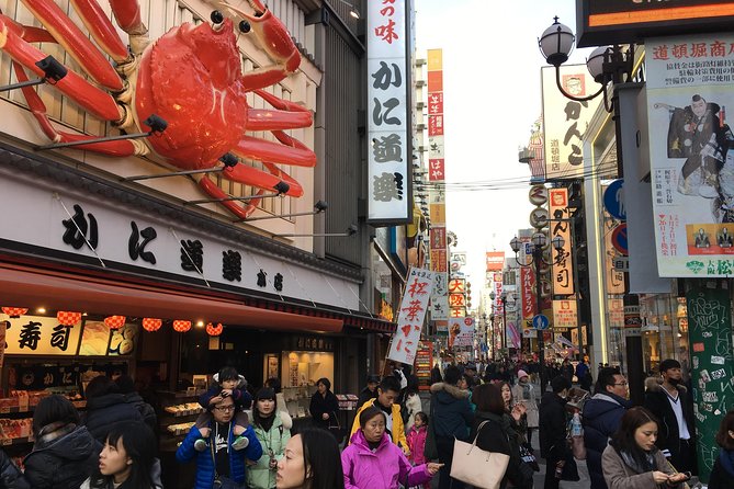Osaka 1 Day Highlights Private Walking Tour - Reviews