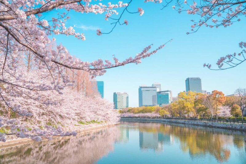 Osaka: 1-Day Private Customizable Trip by Car - Exploring Osaka in Style and Comfort