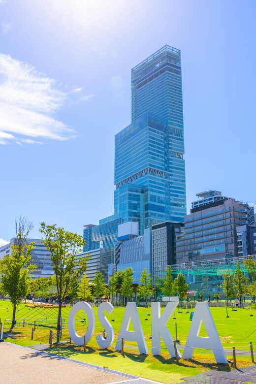 Osaka: 1-Day Private Customizable Trip by Car - Final Thoughts