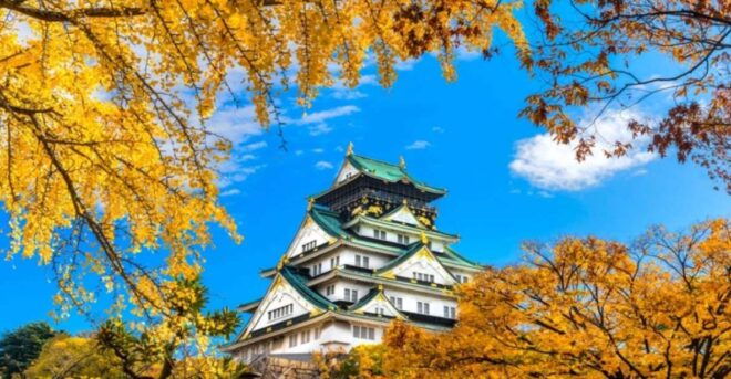 Osaka: 10-Hour Customizable Tour With Private Car - Landmarks and Parks