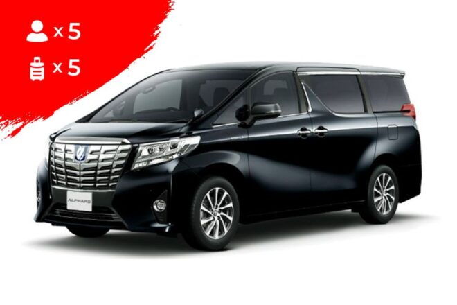 Osaka: 10-Hour Customizable Tour With Private Car - Common Questions