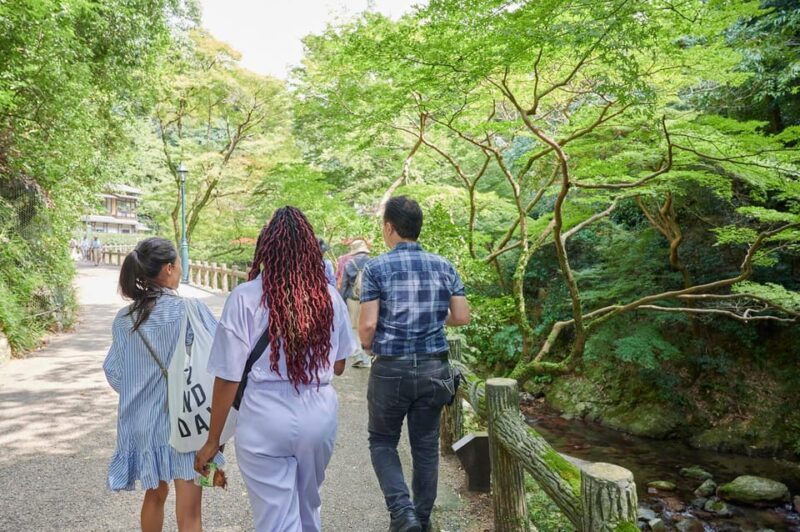 Osaka: 2.5-Hour Private Scenic Hike to Minoo Waterfall - Who Will Love This Tour?