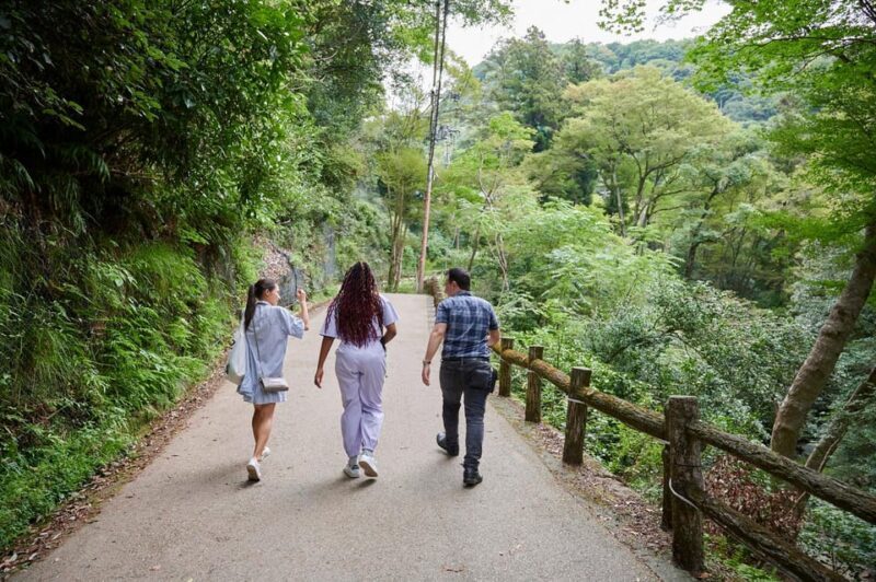 Osaka: 2.5-Hour Private Scenic Hike to Minoo Waterfall - Good To Know