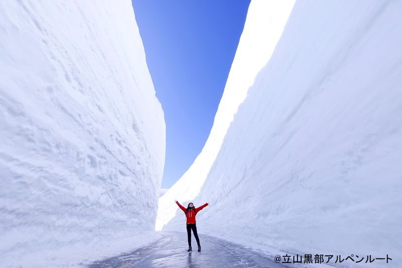 Osaka 2-Day Tateyama Kurobe Alpine Route & Kanazawa Tour - Who Should Take This Tour?