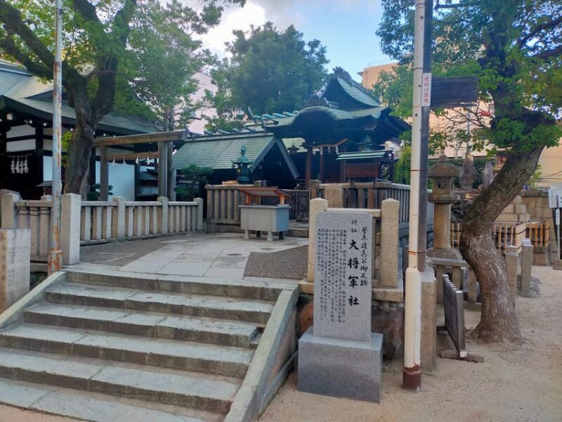 Osaka : 3/4/5 Hours Private Tour With Local Guide - Who Will Love This Tour?