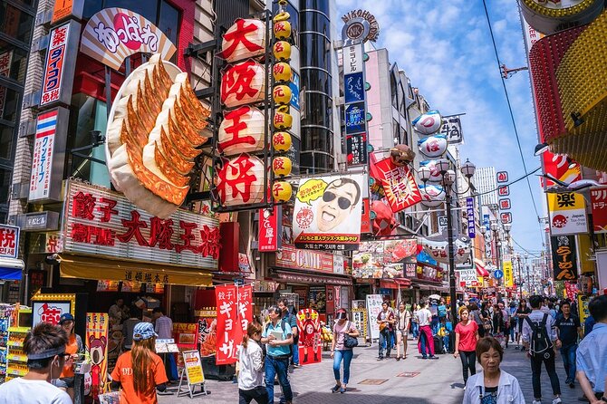 Osaka 6 Hr Private Tour: English Speaking Driver Only, No Guide - Customer Testimonial