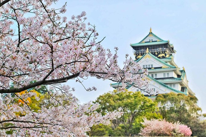 Osaka 6 Hr Private Tour: English Speaking Driver Only, No Guide - Common Questions
