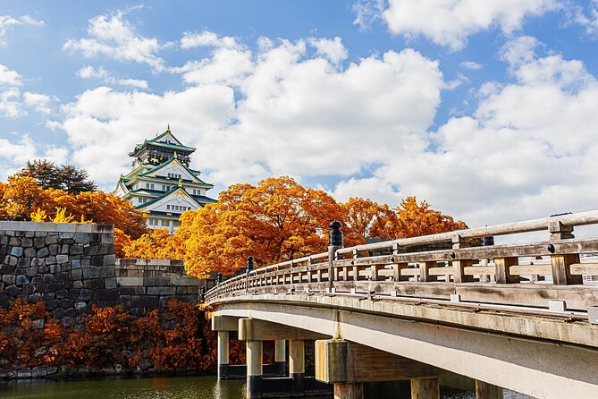 Osaka 6 Hr Private Tour: English Speaking Driver Only, No Guide - The Sum Up