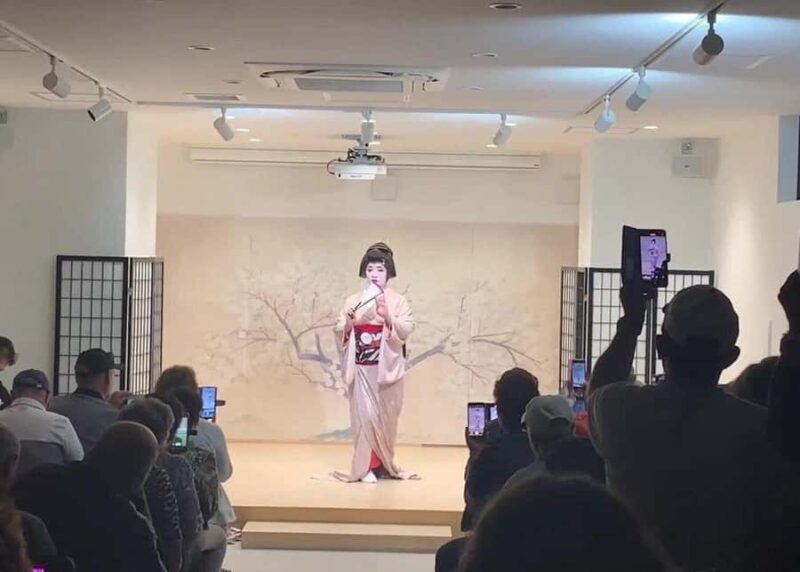 Osaka: 6hr Private Guided Tour with Geisha Performance - Who Should Consider This Tour?