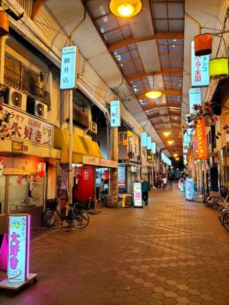 Osaka After Dark - Local Nightlife Insights