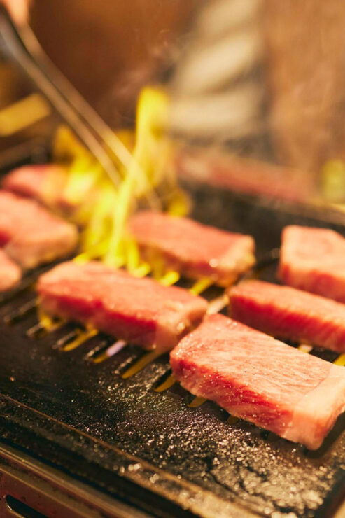 Osaka: All-Inclusive Daytime 3 Hours Food Tour - Osaka Sta. - Itinerary Highlights