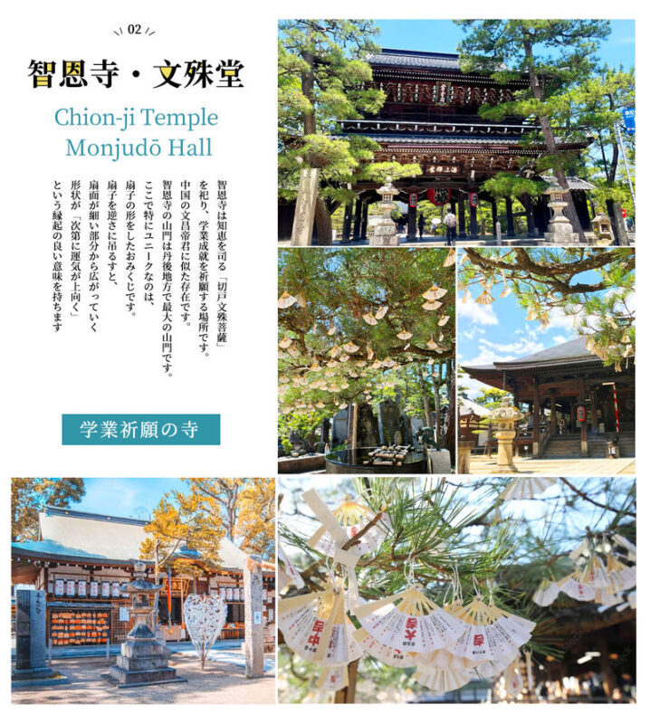 Osaka Amanohashidate & Ine Funaya One-Day Tour - Ine Bay: funaya, water, and hungry birds