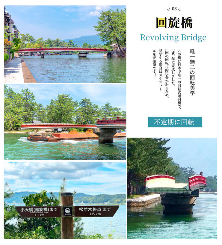Osaka Amanohashidate & Ine Funaya One-Day Tour - The guide makes a practical difference