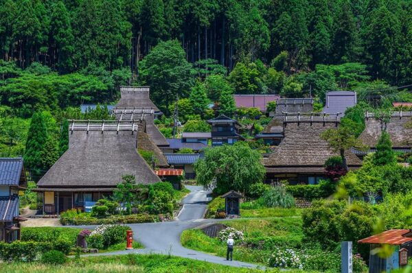 Osaka: Amanohashidate, Ine Hunaya, Miyama-Village 1-Day Trip - Customer Reviews