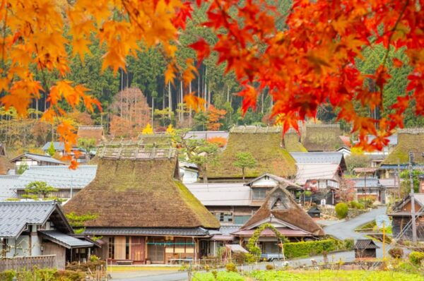 Osaka: Amanohashidate, Ine Hunaya, Miyama-Village 1-Day Trip - Optional Activities